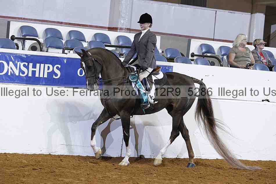 Proof 12r9_5286