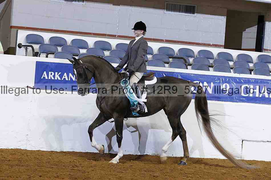 Proof 12r9_5287
