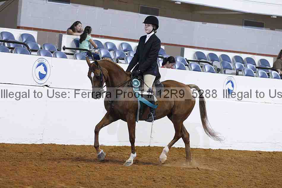 Proof 12r9_5288