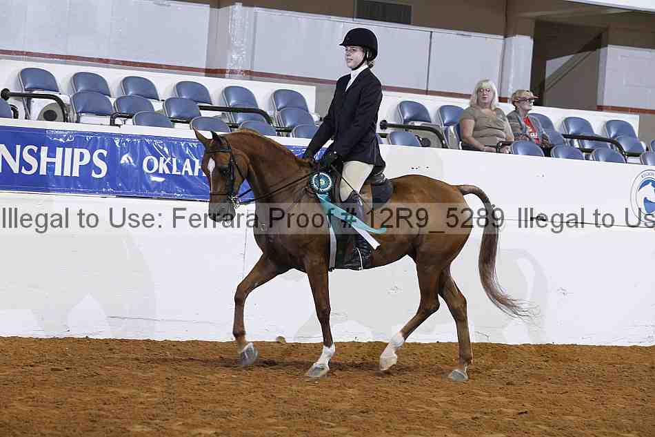 Proof 12r9_5289