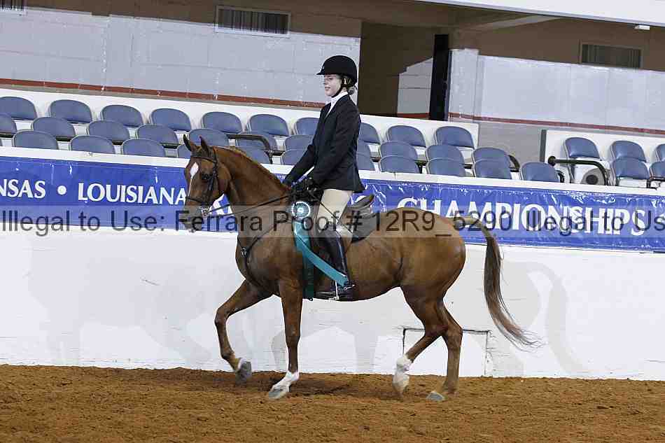 Proof 12r9_5290