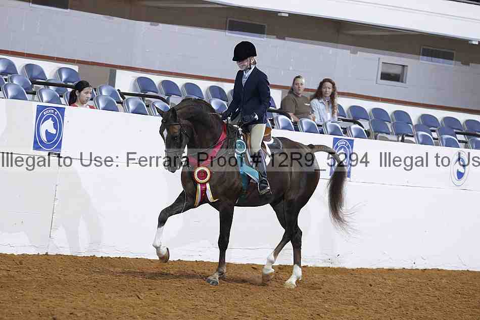Proof 12r9_5294