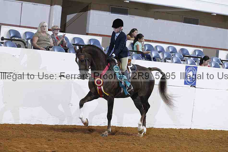 Proof 12r9_5295