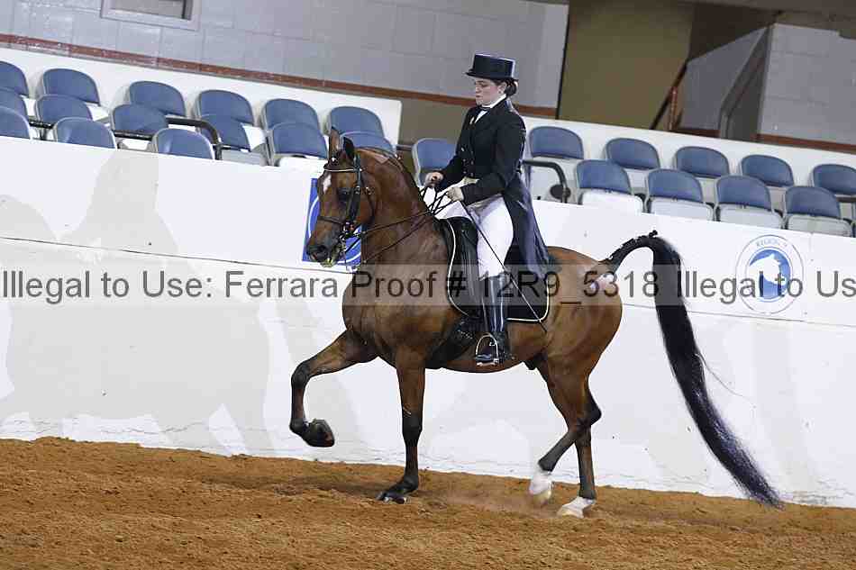 Proof 12r9_5318