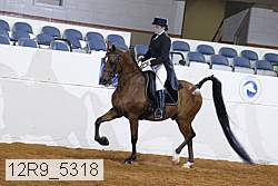 12r9_5318 proof