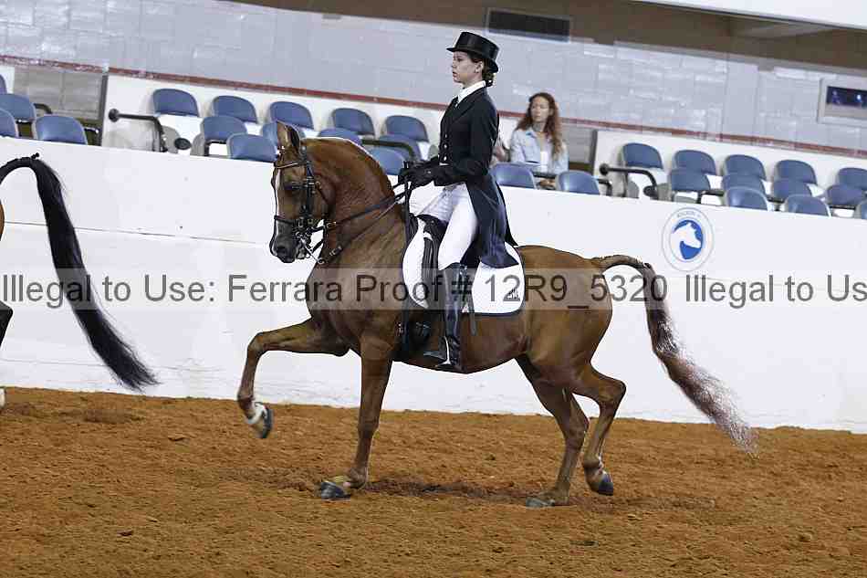 Proof 12r9_5320