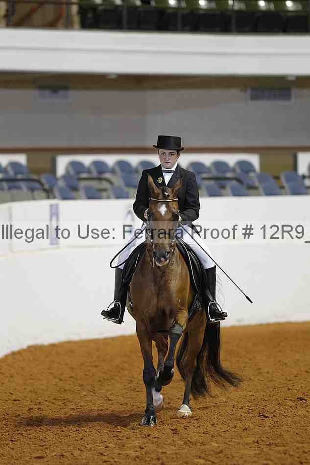 Proof 12r9_5328
