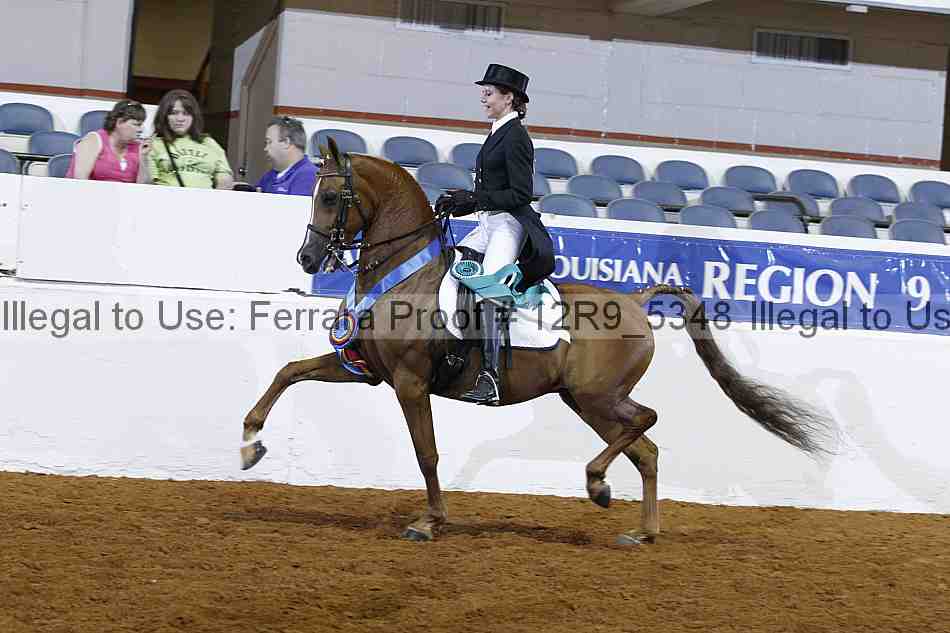 Proof 12r9_5348