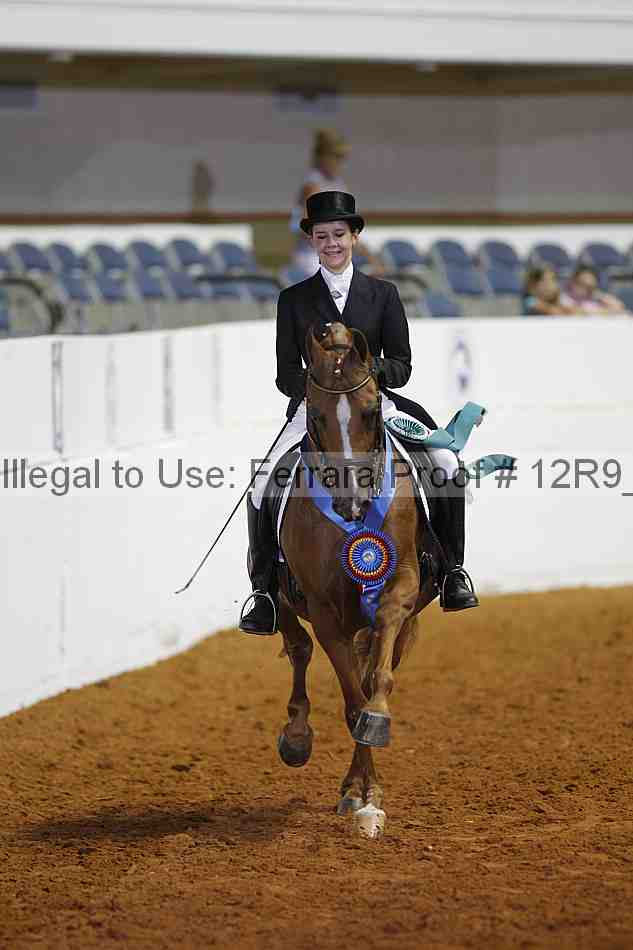Proof 12r9_5354