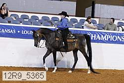 12r9_5365 proof