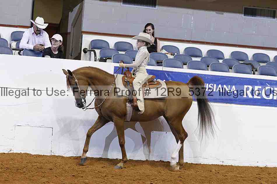 Proof 12r9_5372