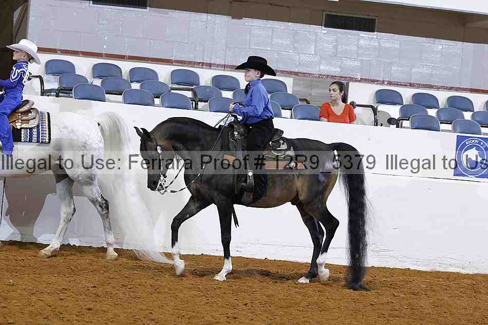 Proof 12r9_5379