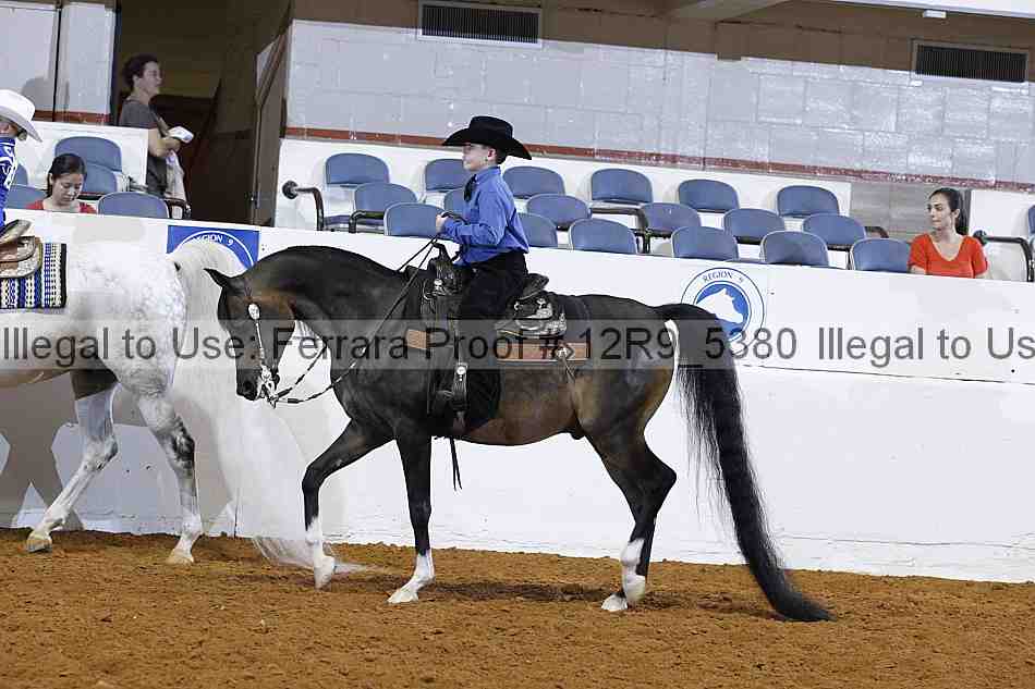 Proof 12r9_5380