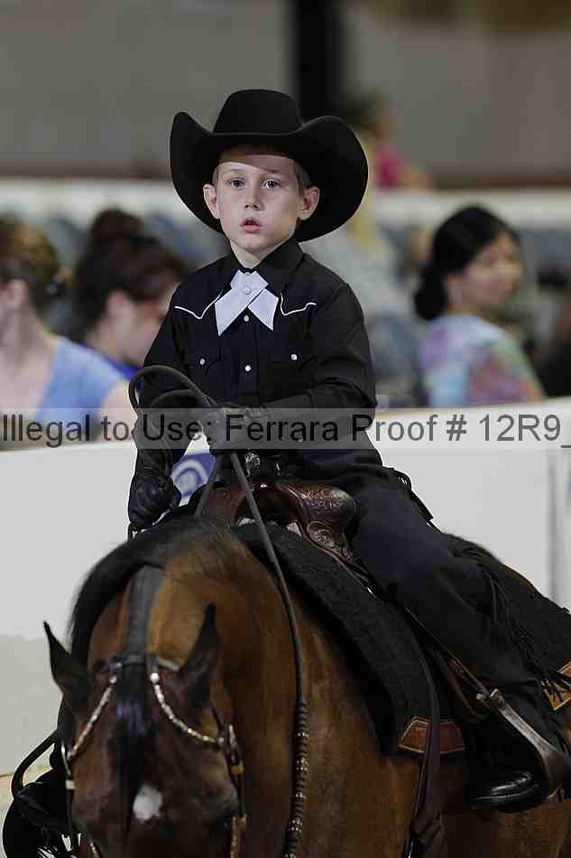Proof 12r9_5383