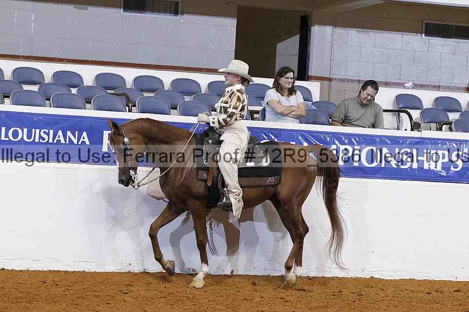 Proof 12r9_5386
