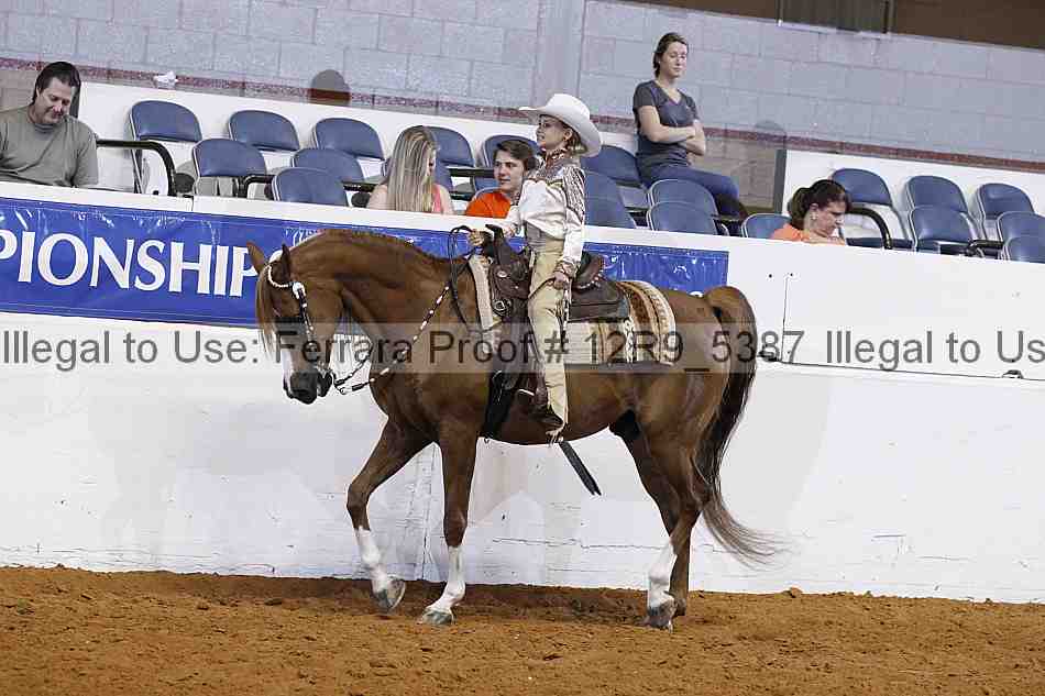 Proof 12r9_5387