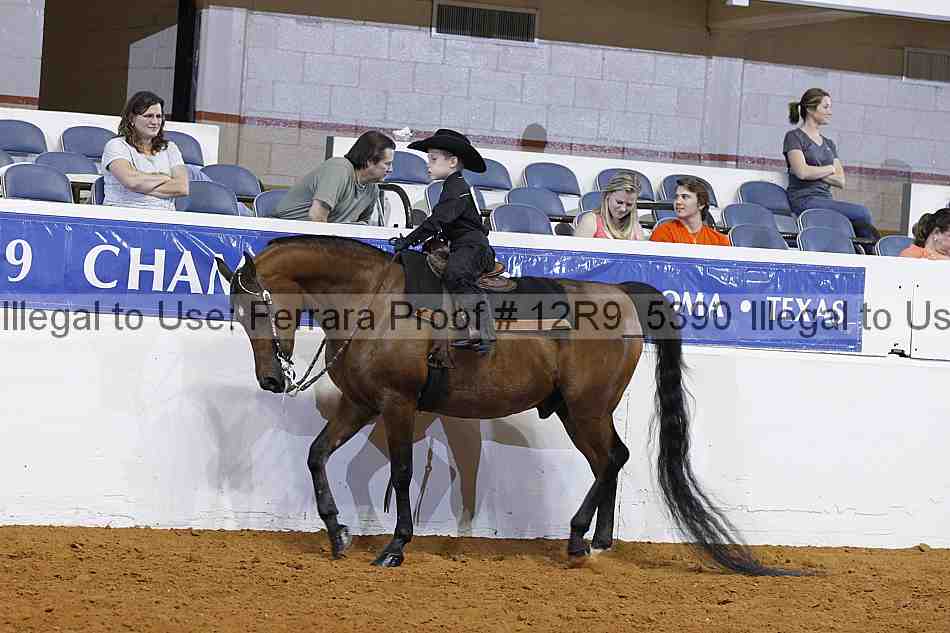 Proof 12r9_5390