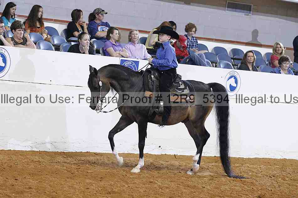 Proof 12r9_5394