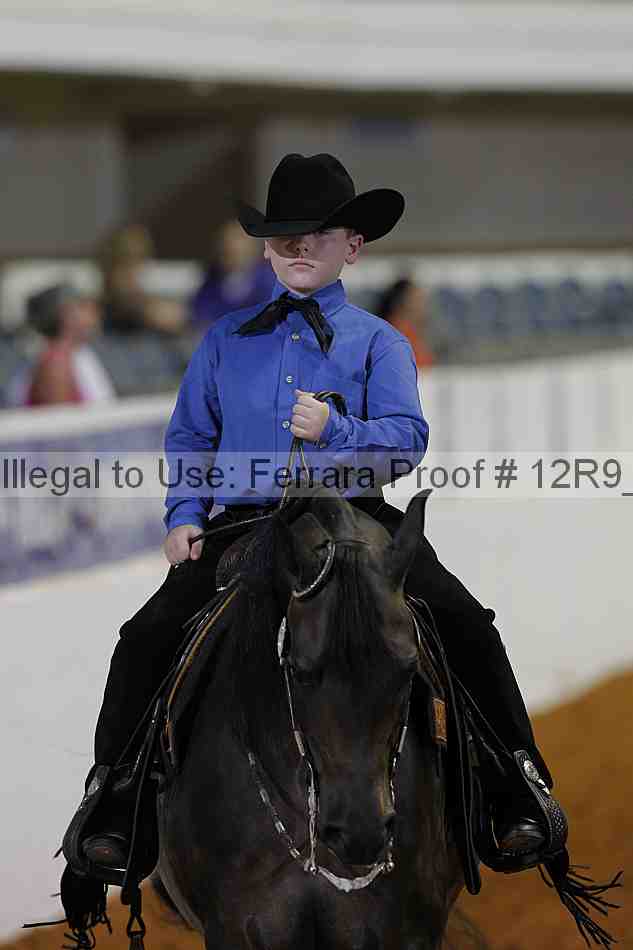 Proof 12r9_5395