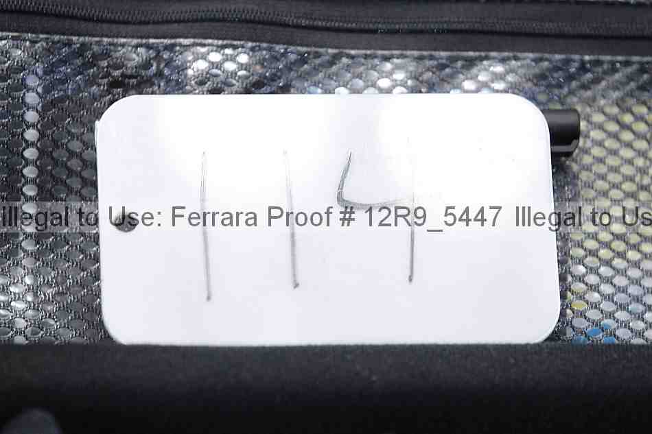 Proof 12r9_5447