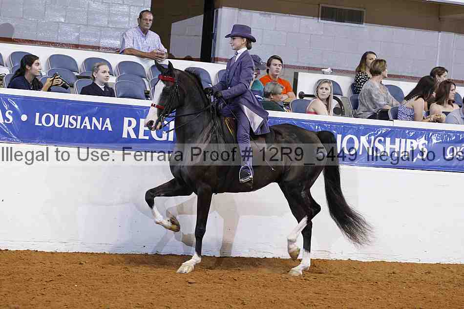 Proof 12r9_5449
