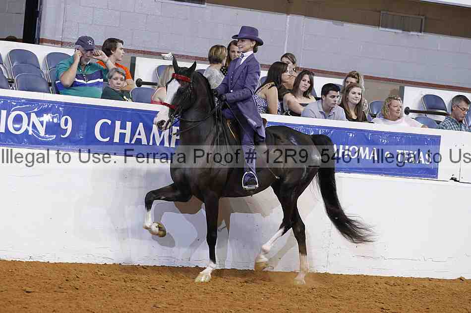 Proof 12r9_5461