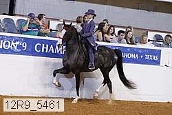 12r9_5461 proof