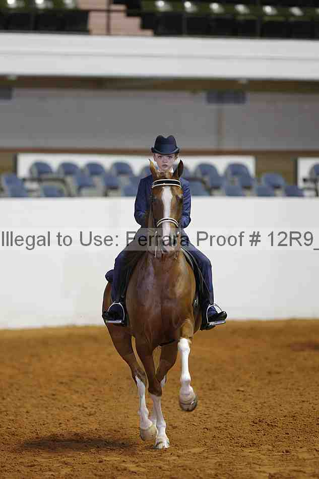 Proof 12r9_5474