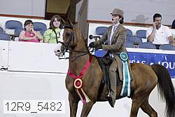 12r9_5482 proof