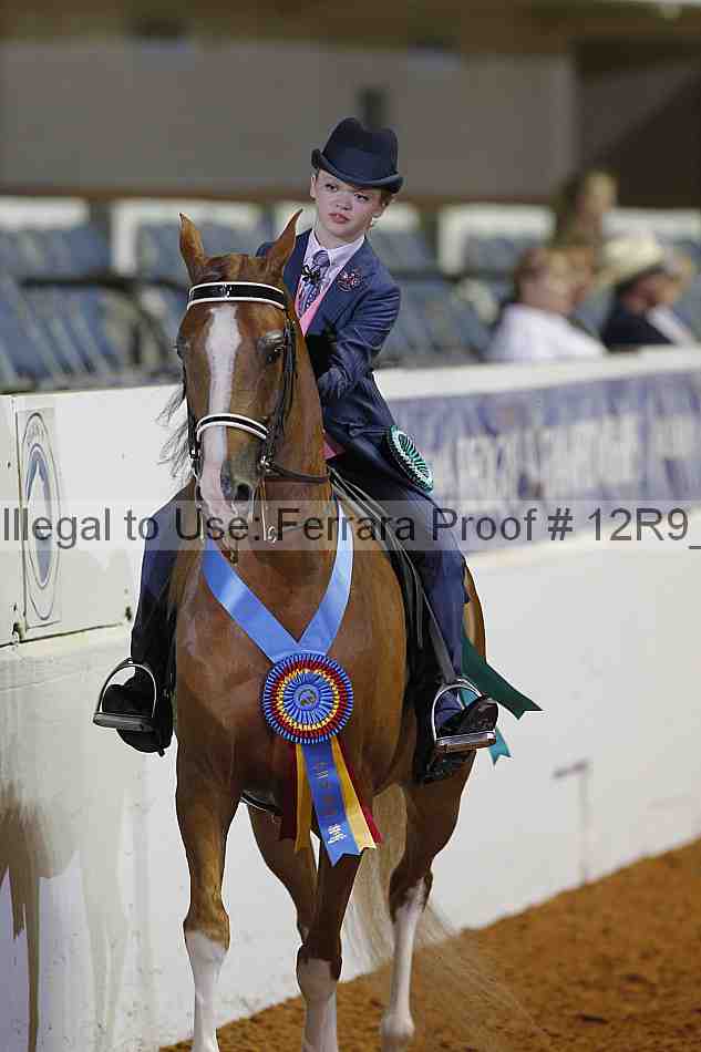Proof 12r9_5491