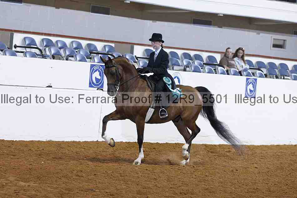 Proof 12r9_5501