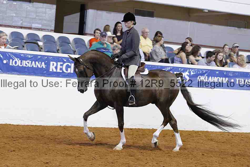 Proof 12r9_5522