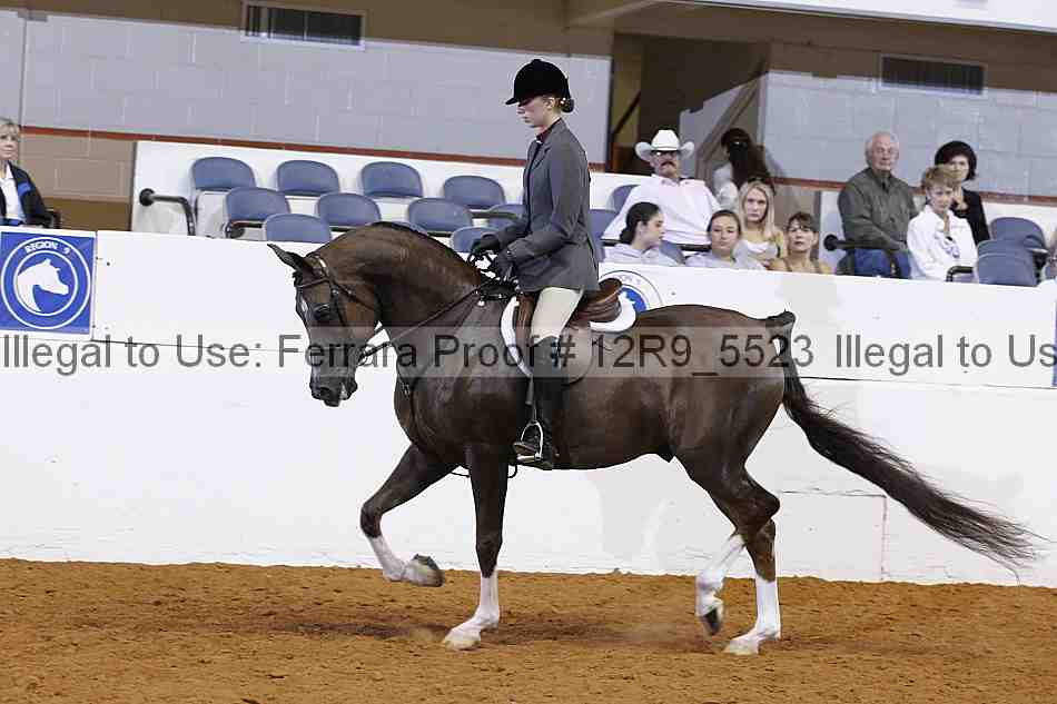 Proof 12r9_5523