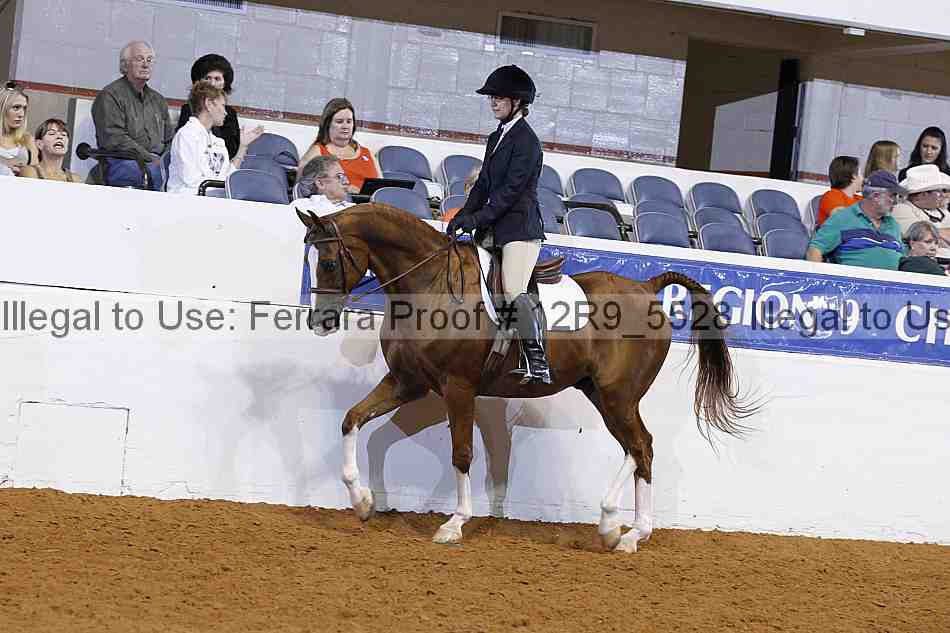 Proof 12r9_5528