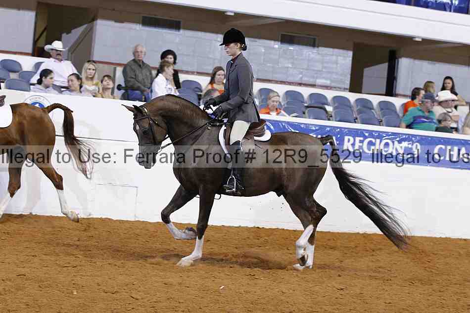 Proof 12r9_5529