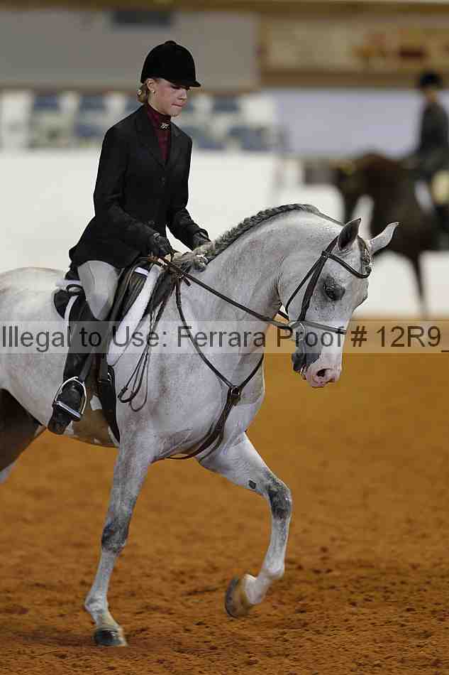 Proof 12r9_5541