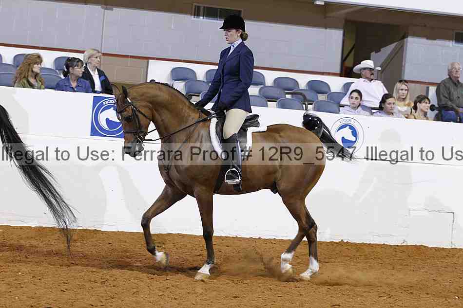 Proof 12r9_5547