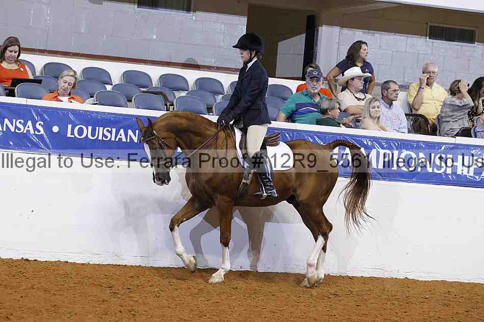Proof 12r9_5561