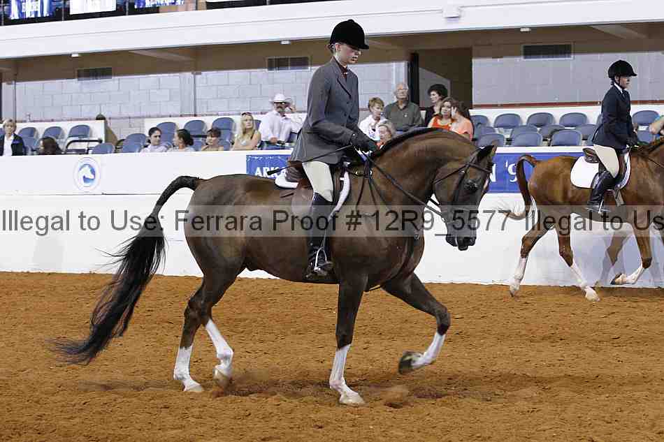 Proof 12r9_5577