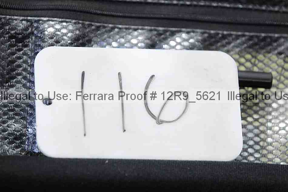 Proof 12r9_5621