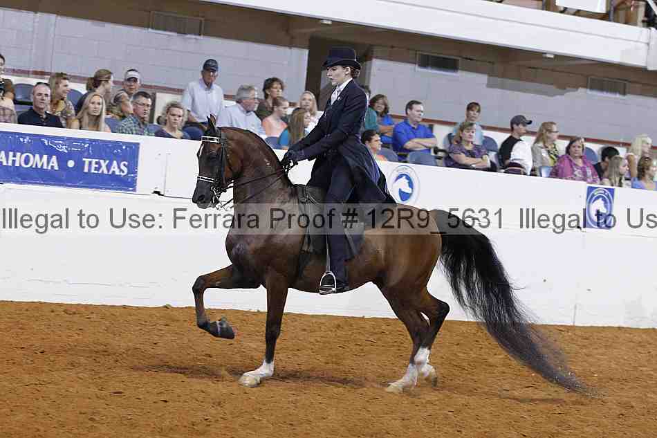 Proof 12r9_5631