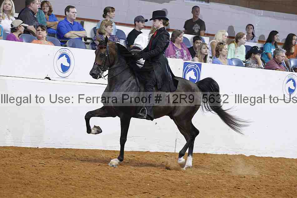 Proof 12r9_5632