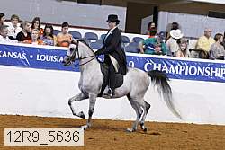 12r9_5636 proof