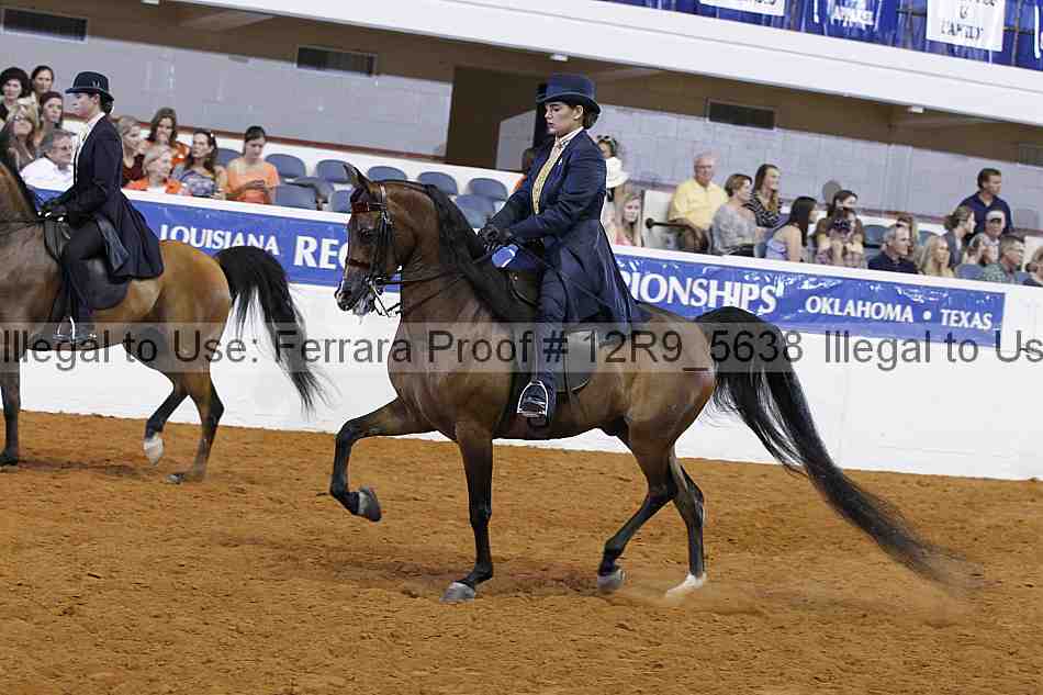 Proof 12r9_5638