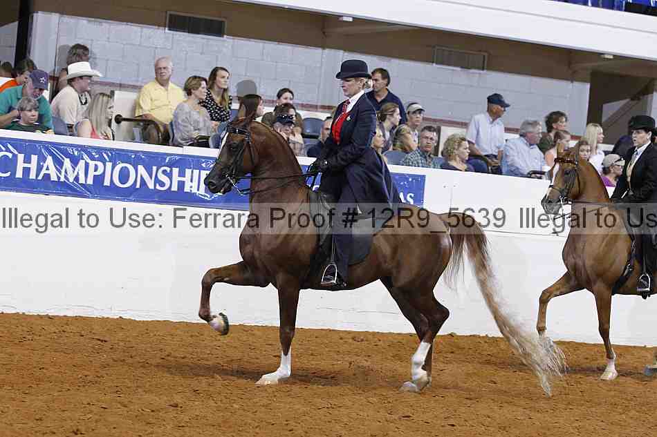 Proof 12r9_5639