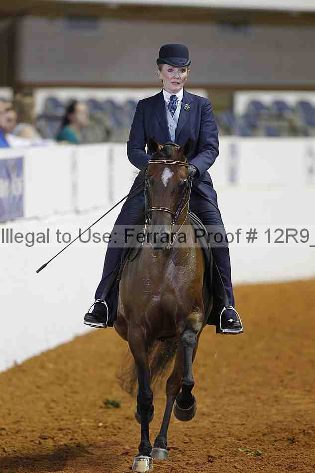 Proof 12r9_5641