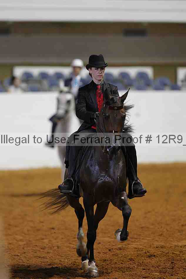 Proof 12r9_5649