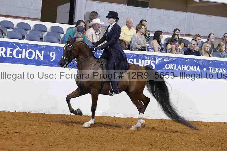 Proof 12r9_5653