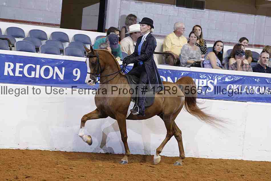 Proof 12r9_5657
