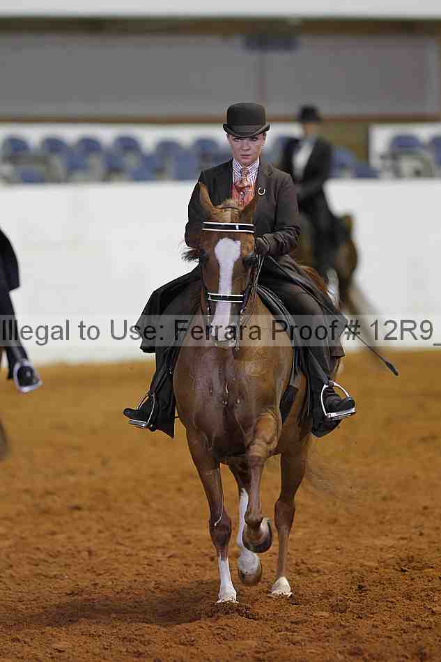 Proof 12r9_5658